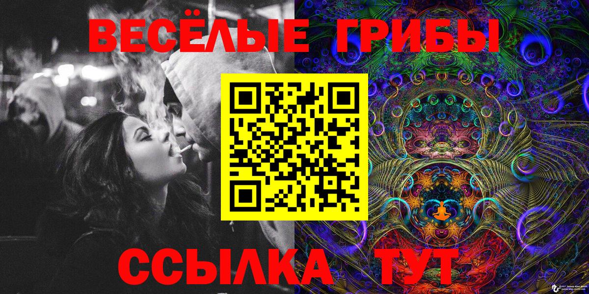 Галлюциногенные грибы Magic Shrooms Междуреченск