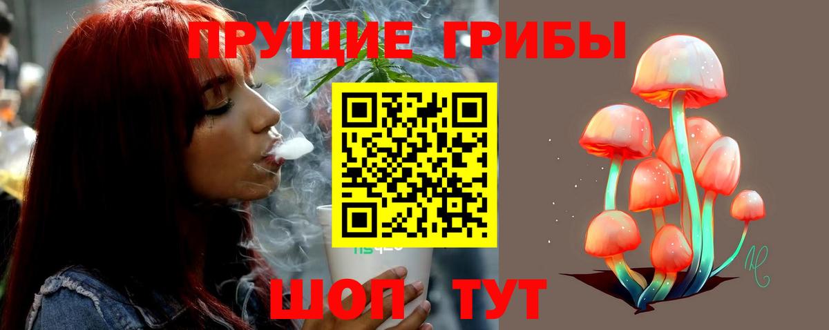 Псилоцибиновые грибы Psilocybine cubensis  Галлюциногенные грибы мицелий  Междуреченск  Вход с VPN 
